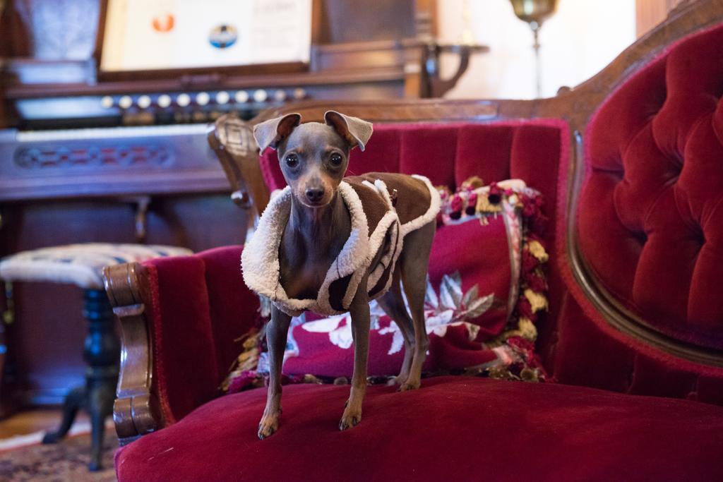 The Gables Bed And Breakfast Philadelphia Luaran gambar